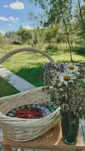 Ильинка лес - 29