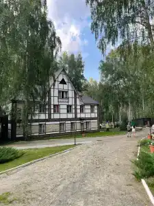 Берёзка - 60