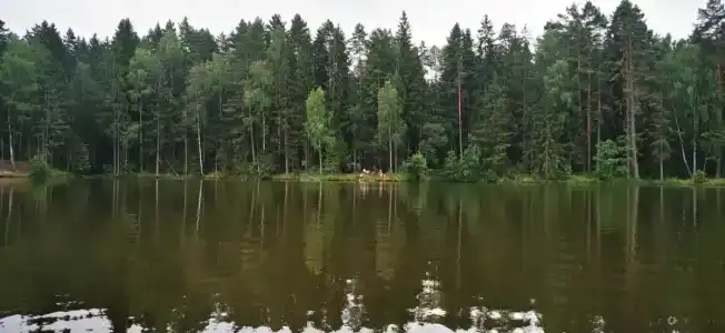 Железинка - 14