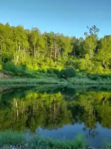 Спутник - 26