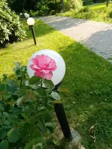 Марафон - 76