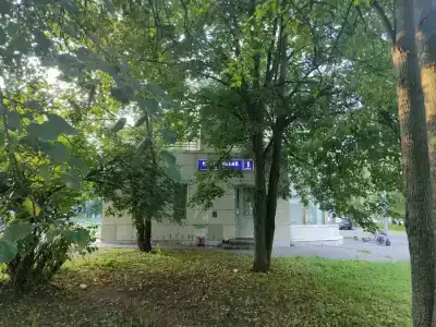 Шиповник - 2