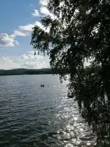 Линевский берег - 81