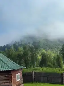 Агария - 14