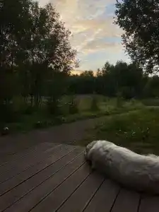 Парк Север - 46