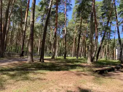Детский клинический санаторий памяти Ленина - 19