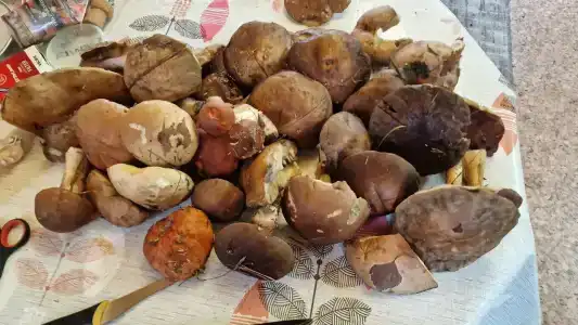 Куба - 69