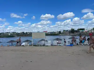 Лилия 3 - 4