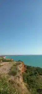 Тимора - 14