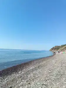 Кипарис-канака - 2