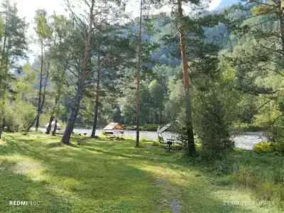 Закуток - 11