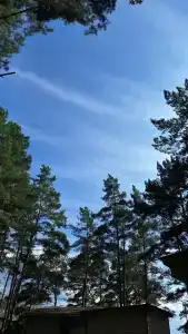 Дружба - 33