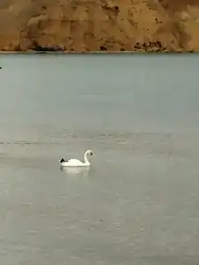 Капля моря - 53