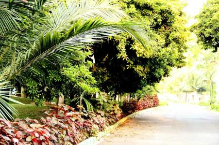 Vgp Golden Beach Resort - 58