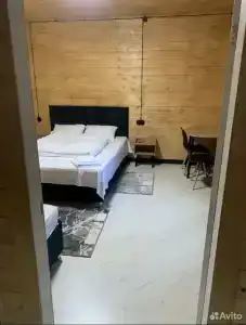 Платан - 16