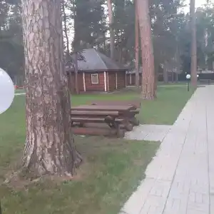 Олимп - 33