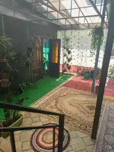 Голуби - 20