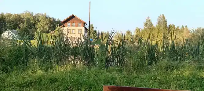 Березовка - 71