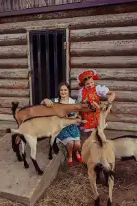Лошадкино - 12