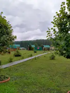 Сосновка - 20