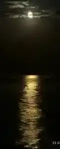 Кучугуры - 64