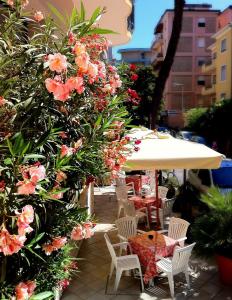 Piccinelli - 5