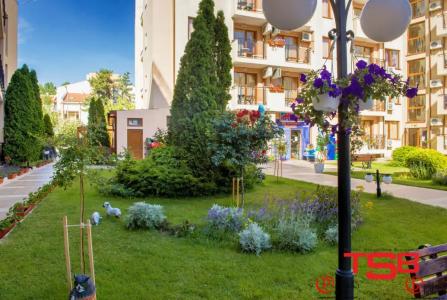 Tsb Sunny Victory - 9