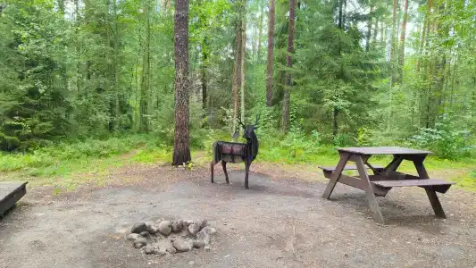 Глэмпинг Shanti Home - 36