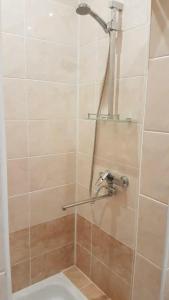 Автотранс - 44