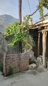 MiriDa - 39