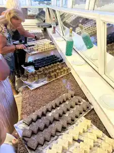 Larissa Garden Beldibi - All Inclusive - 41