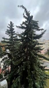 40 Лет Победы - 67