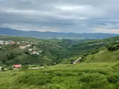 Кадиалиева Гаджи - 24