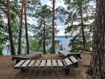 Кедр - 6