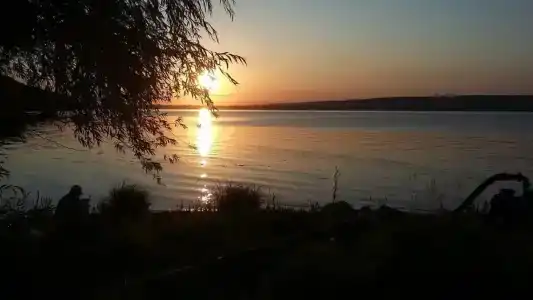 Заповедник - 44