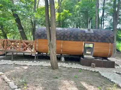 Богатый лес - 25