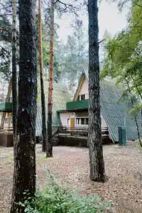 Сосновый бор - 47