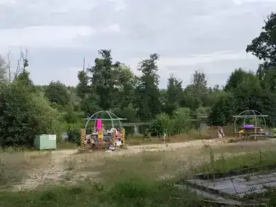 Лесное озеро - 3