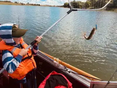 Соколино - 47