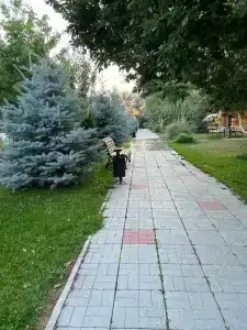 Солнечный - 59