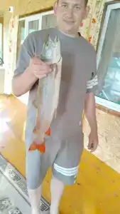 Солнечная - 21