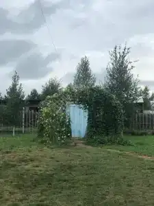 Геофизик - 40