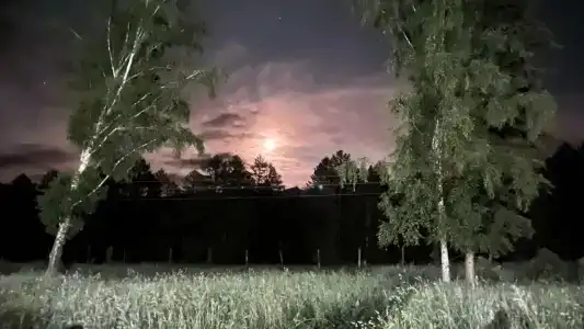 Фазенда - 39