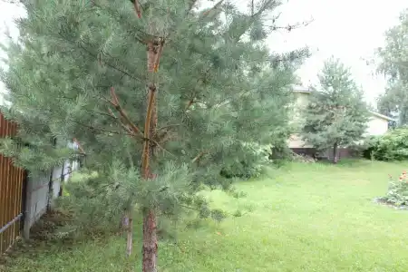 Усадьба - 49