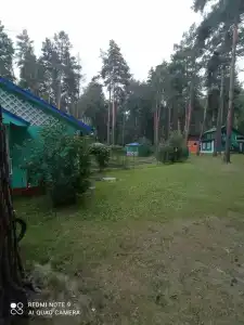 Обские просторы - 44