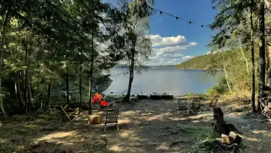 Villy Uley Karelia (Вили Улей Карелия) - 84