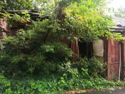 Дрим Хаус - 85