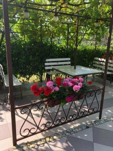 Летний сад - 2