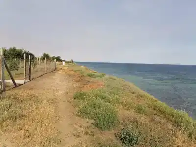 Тарпанчи - 85