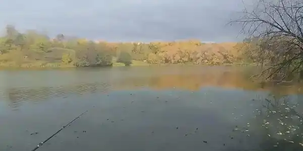 Лесное озеро - 9